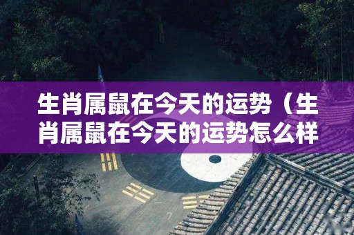 生肖属鼠在今天的运势（生肖属鼠在今天的运势怎么样）