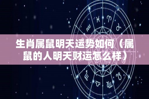 生肖属鼠明天运势如何（属鼠的人明天财运怎么样）