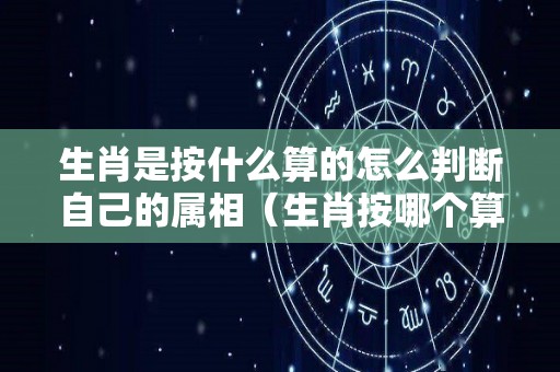 生肖是按什么算的怎么判断自己的属相（生肖按哪个算）