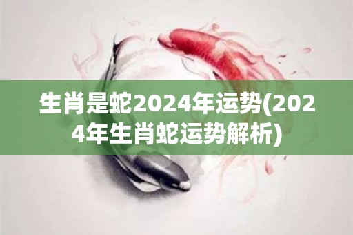 生肖是蛇2024年运势(2024年生肖蛇运势解析)