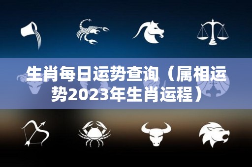 生肖每日运势查询（属相运势2023年生肖运程）