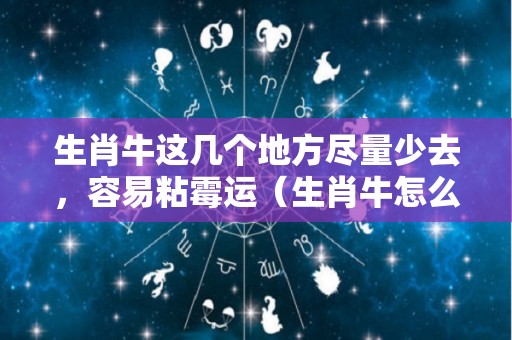 生肖牛这几个地方尽量少去，容易粘霉运（生肖牛怎么样?）