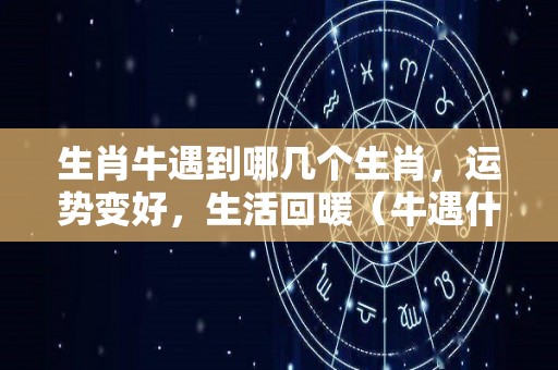 生肖牛遇到哪几个生肖，运势变好，生活回暖（牛遇什么生肖大吉）