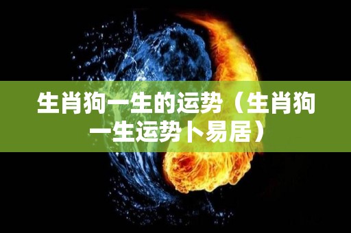 生肖狗一生的运势（生肖狗一生运势卜易居）