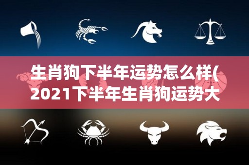 生肖狗下半年运势怎么样(2021下半年生肖狗运势大揭秘！)