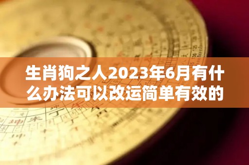 生肖狗之人2023年6月有什么办法可以改运简单有效的方法盘点（属狗在2023年）