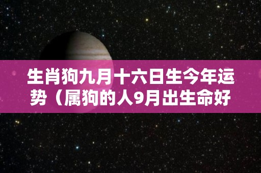 生肖狗九月十六日生今年运势（属狗的人9月出生命好吗）