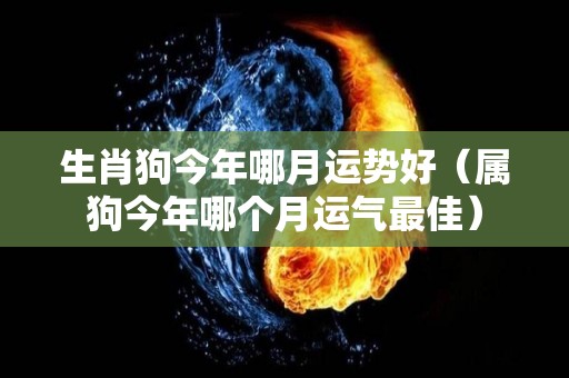生肖狗今年哪月运势好（属狗今年哪个月运气最佳）