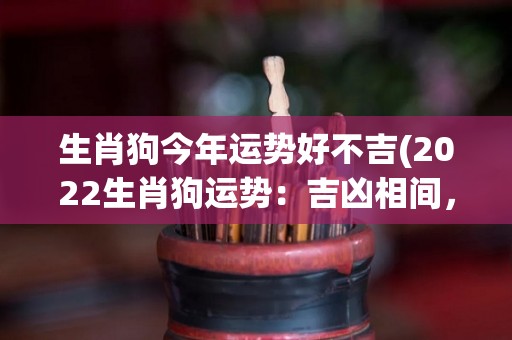 生肖狗今年运势好不吉(2022生肖狗运势：吉凶相间，需调整情绪以平衡生活。)