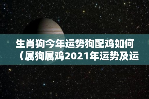 生肖狗今年运势狗配鸡如何（属狗属鸡2021年运势及运程每月运程）