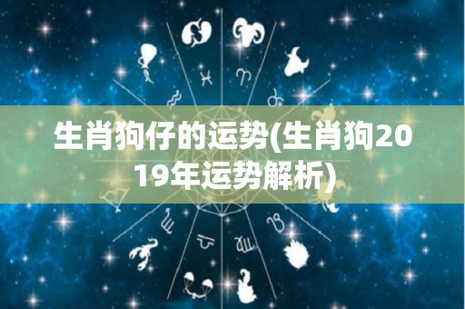 生肖狗仔的运势(生肖狗2019年运势解析)