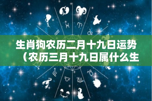 生肖狗农历二月十九日运势（农历三月十九日属什么生肖）