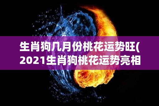 生肖狗几月份桃花运势旺(2021生肖狗桃花运势亮相！查看你的桃花旺期)