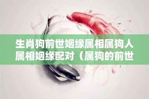 生肖狗前世姻缘属相属狗人属相姻缘配对（属狗的前世情人）