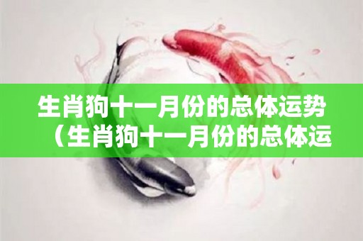 生肖狗十一月份的总体运势（生肖狗十一月份的总体运势如何）