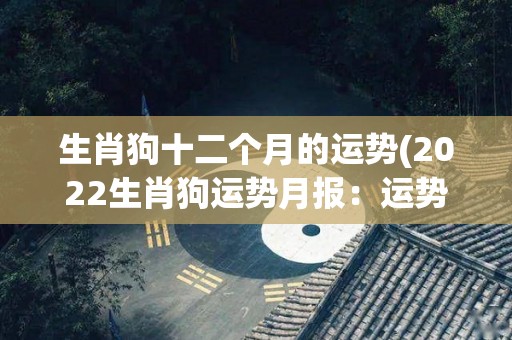 生肖狗十二个月的运势(2022生肖狗运势月报：运势好转，顺风顺水！)