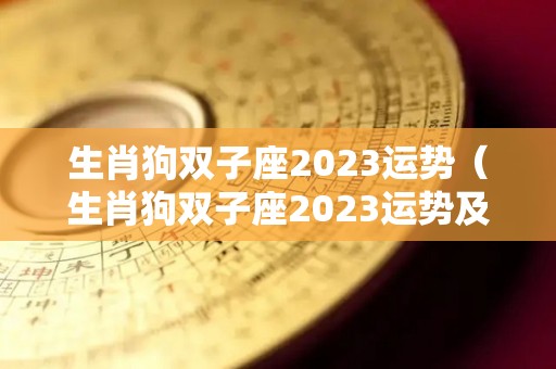 生肖狗双子座2023运势（生肖狗双子座2023运势及运程）