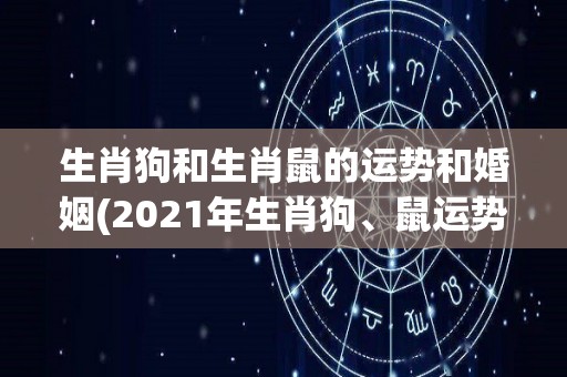 生肖狗和生肖鼠的运势和婚姻(2021年生肖狗、鼠运势解析及婚姻展望)