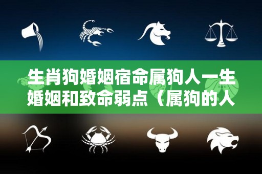 生肖狗婚姻宿命属狗人一生婚姻和致命弱点（属狗的人婚姻顺不顺利）