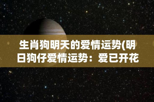 生肖狗明天的爱情运势(明日狗仔爱情运势：爱已开花，趁机追求简版)