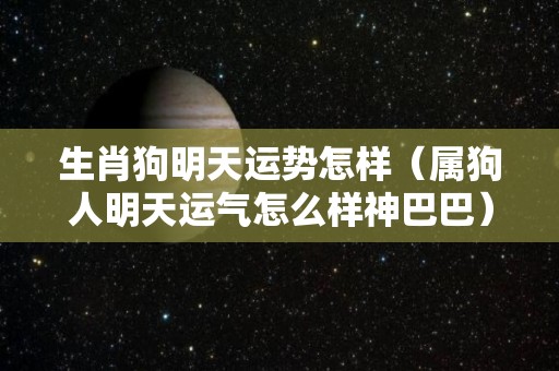 生肖狗明天运势怎样（属狗人明天运气怎么样神巴巴）