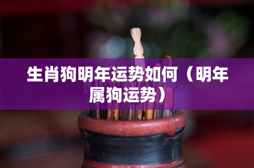 生肖狗明年运势如何（明年属狗运势）