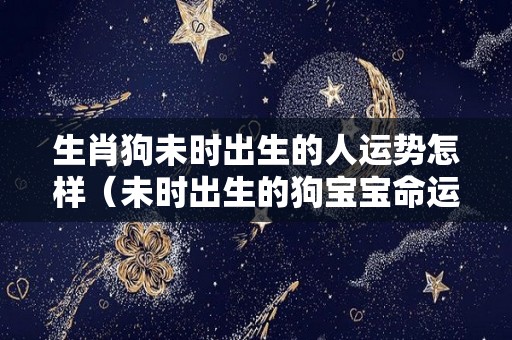 生肖狗未时出生的人运势怎样（未时出生的狗宝宝命运）