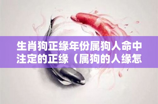 生肖狗正缘年份属狗人命中注定的正缘（属狗的人缘怎么样）