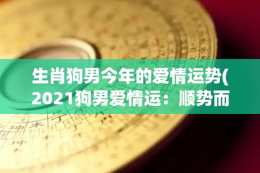 生肖狗男今年的爱情运势(2021狗男爱情运：顺势而为幸福常伴左右)