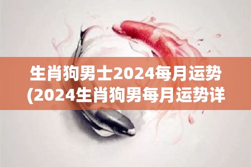 生肖狗男士2024每月运势(2024生肖狗男每月运势详解)