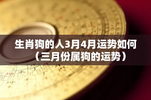 生肖狗的人3月4月运势如何（三月份属狗的运势）