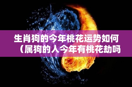 生肖狗的今年桃花运势如何（属狗的人今年有桃花劫吗）