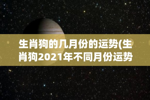 生肖狗的几月份的运势(生肖狗2021年不同月份运势解析)