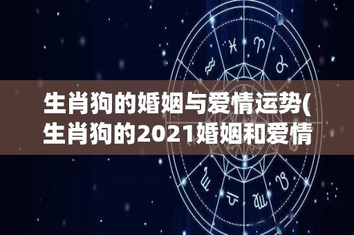 生肖狗的婚姻与爱情运势(生肖狗的2021婚姻和爱情运势指南)