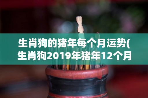 生肖狗的猪年每个月运势(生肖狗2019年猪年12个月运势)