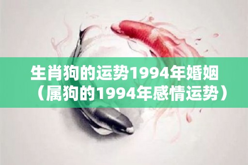 生肖狗的运势1994年婚姻（属狗的1994年感情运势）