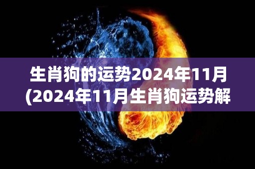 生肖狗的运势2024年11月(2024年11月生肖狗运势解析)