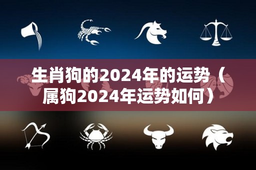 生肖狗的2024年的运势（属狗2024年运势如何）