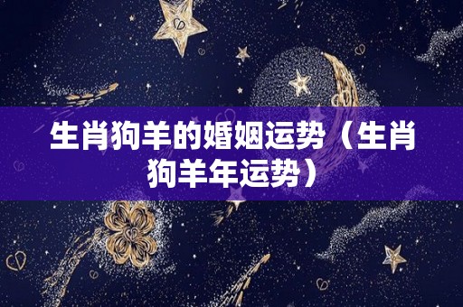 生肖狗羊的婚姻运势（生肖狗羊年运势）