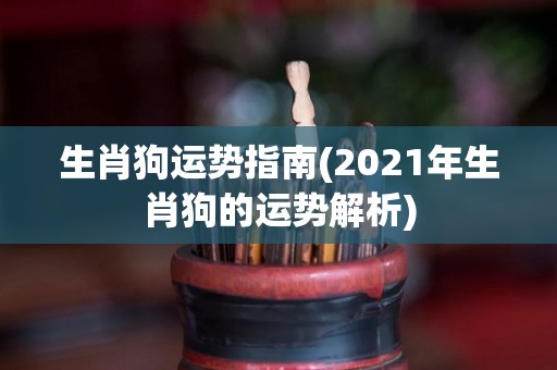 生肖狗运势指南(2021年生肖狗的运势解析)