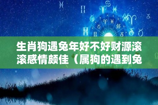 生肖狗遇兔年好不好财源滚滚感情颇佳（属狗的遇到兔年）