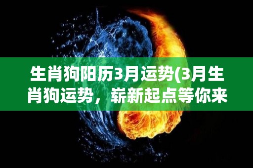 生肖狗阳历3月运势(3月生肖狗运势，崭新起点等你来！)