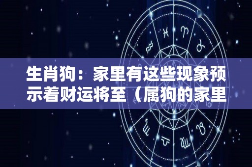 生肖狗：家里有这些现象预示着财运将至（属狗的家里）