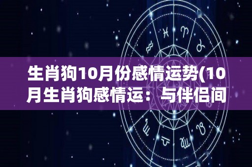 生肖狗10月份感情运势(10月生肖狗感情运：与伴侣间的默契高涨，单身者有机会遇见心仪的人)