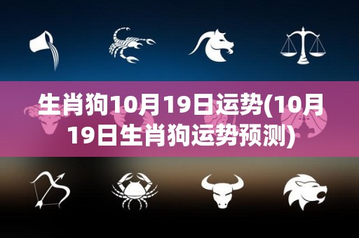 生肖狗10月19日运势(10月19日生肖狗运势预测)