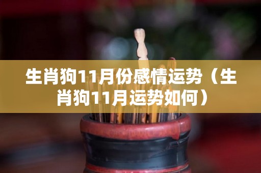 生肖狗11月份感情运势（生肖狗11月运势如何）