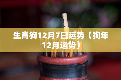 生肖狗12月7曰运势（狗年12月运势）