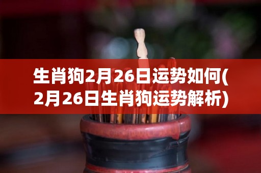 生肖狗2月26日运势如何(2月26日生肖狗运势解析)