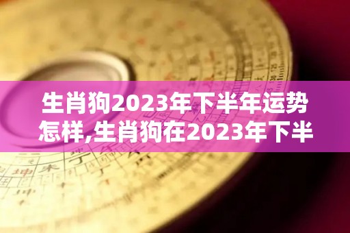 生肖狗2023年下半年运势怎样,生肖狗在2023年下半年运势怎么样