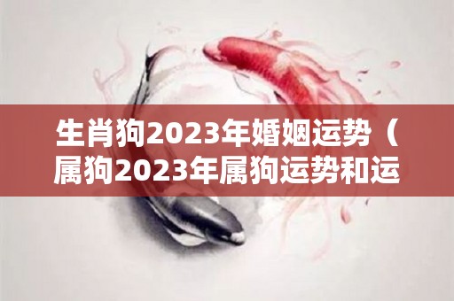 生肖狗2023年婚姻运势（属狗2023年属狗运势和运）